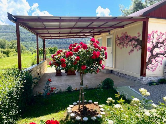 Villa Smjestaj Dada Trebinje Exterior foto