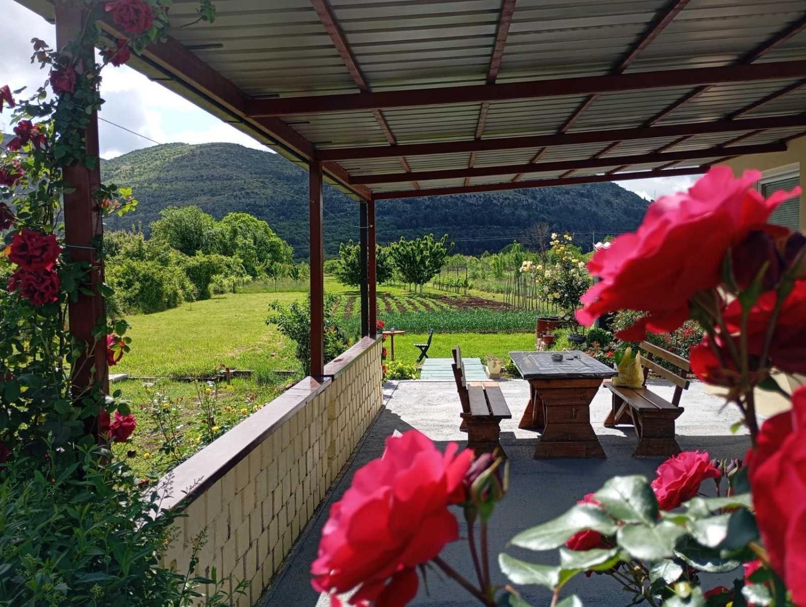 Villa Smjestaj Dada Trebinje Exterior foto