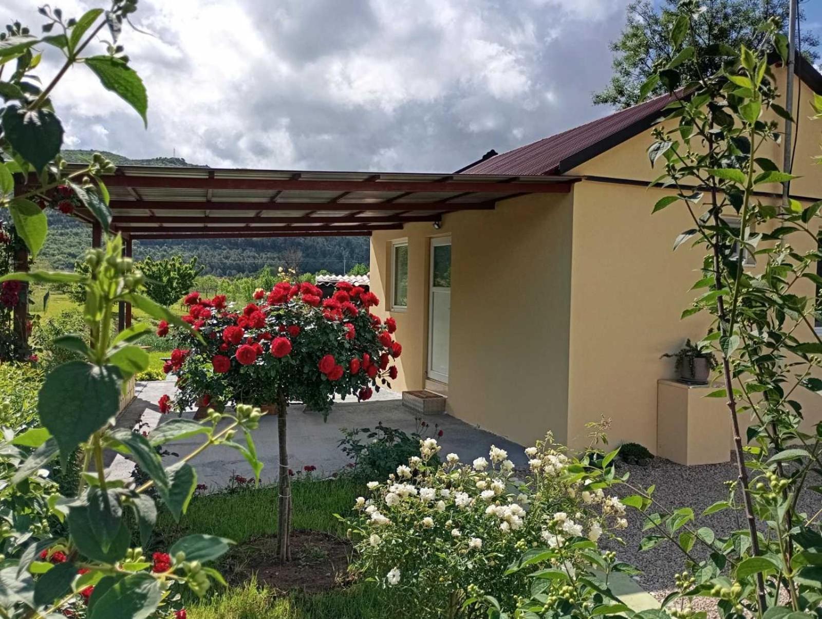 Villa Smjestaj Dada Trebinje Exterior foto